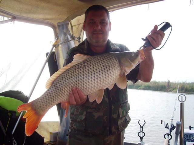 delta rosu 2010 - sany1234.JPG